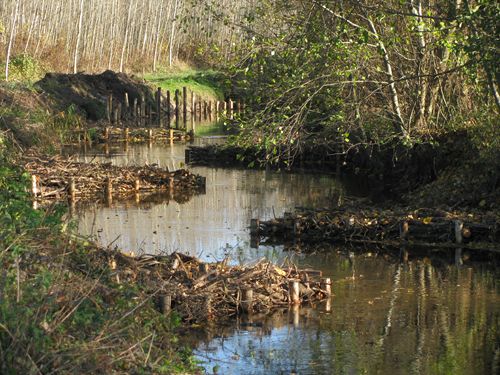 Cours deau non domaniaux 01 